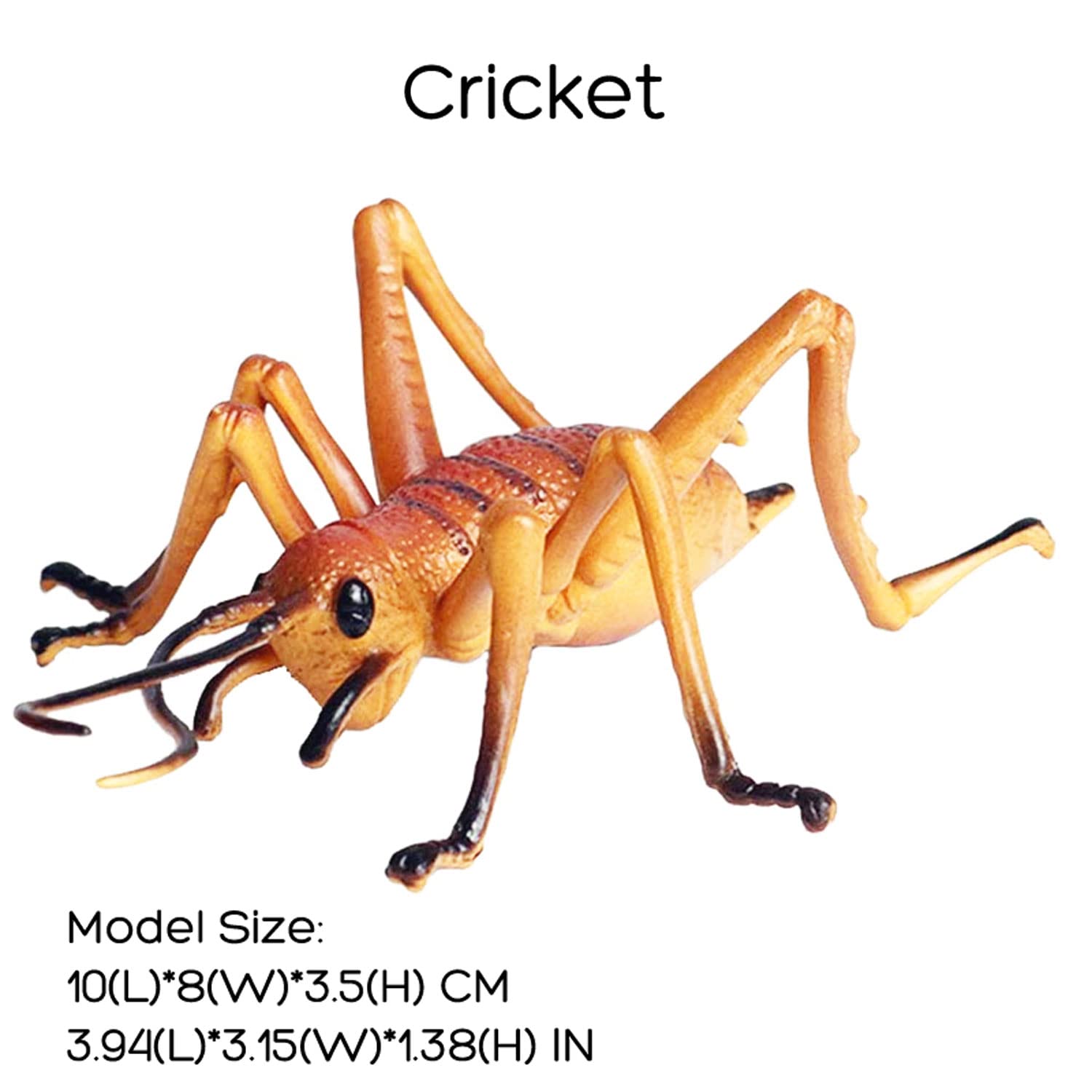 Amazon.com: JOKFEICE Realistic Animal Figures Cricket Figurines